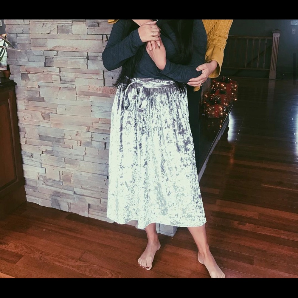 Anthropologie silver velvet skirt